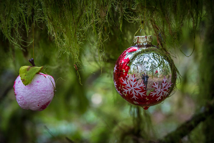 Larch Mountain trail and Christmas Trail
