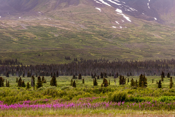 Alaska Interior - Alcan and other Alaska Highways