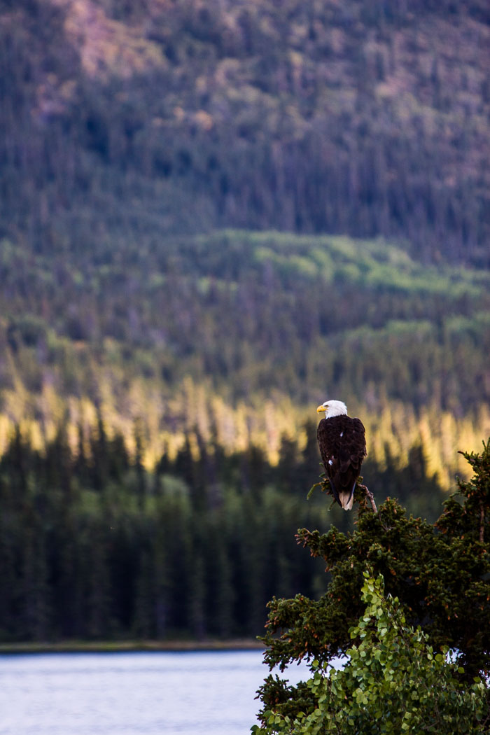 Alaska Interior - Alcan and other Alaska Highways