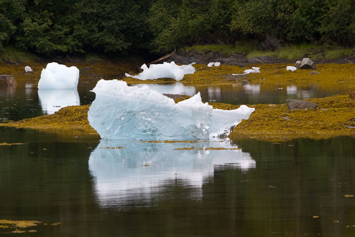 Coastal Southeast Alaska - Petersburg area