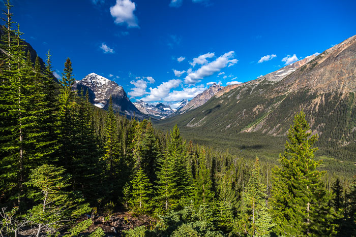 Jasper Mt. Edith Cavell Area