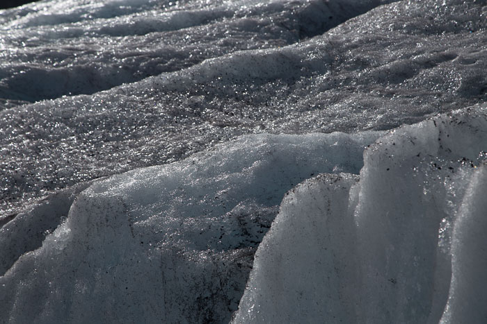 Columbia Icefields Area