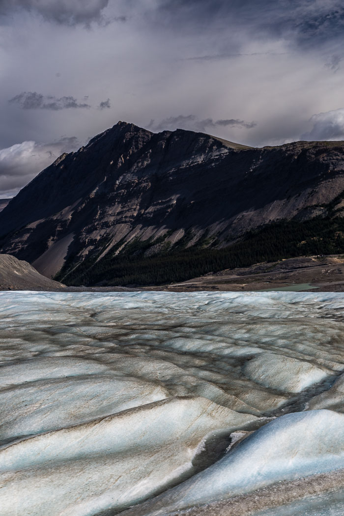 Columbia Icefields Area