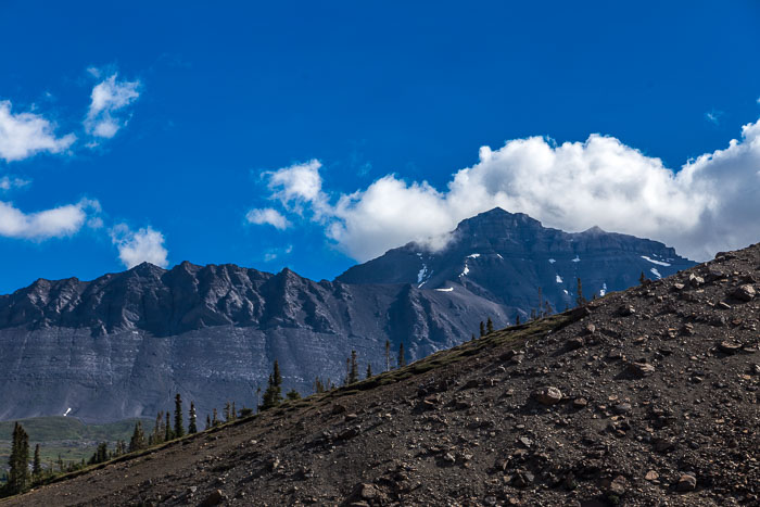 Columbia Icefields Area