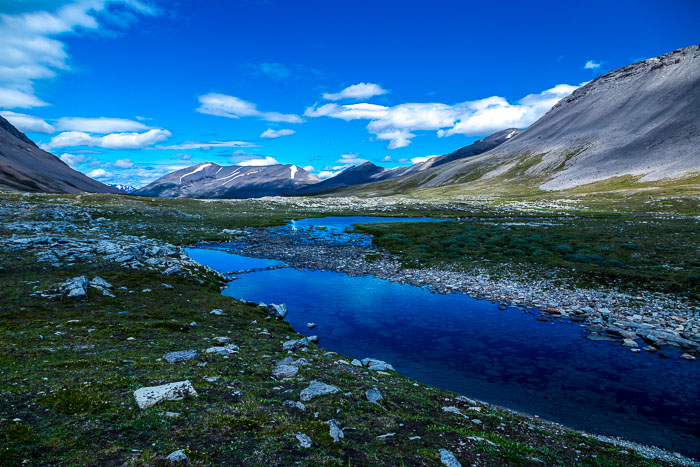 Columbia Icefields Area Columbia Icefields Area