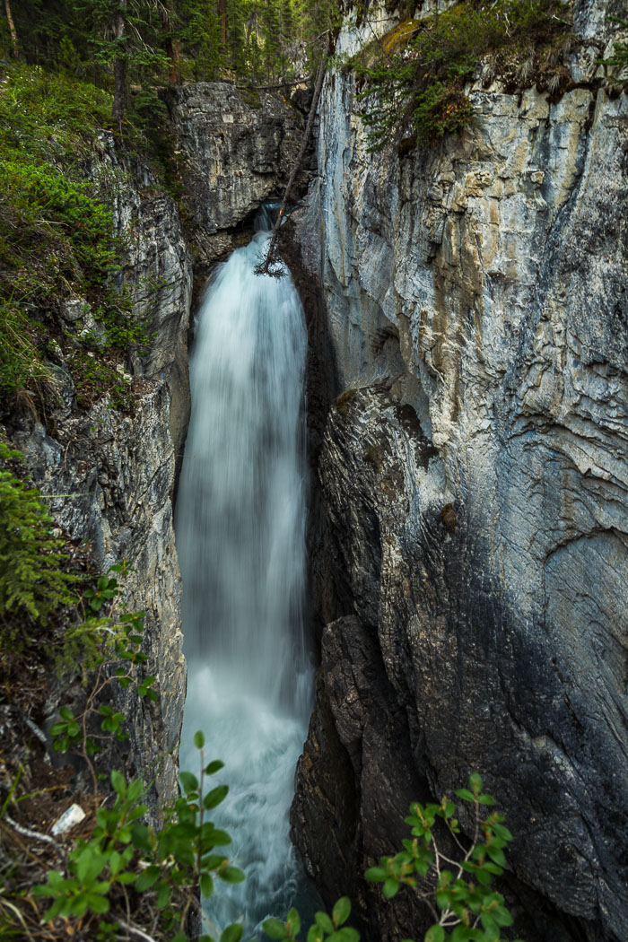 Along the Icefields Parkway - Banff Section