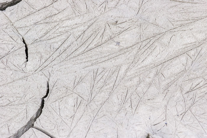 Jasper National Park