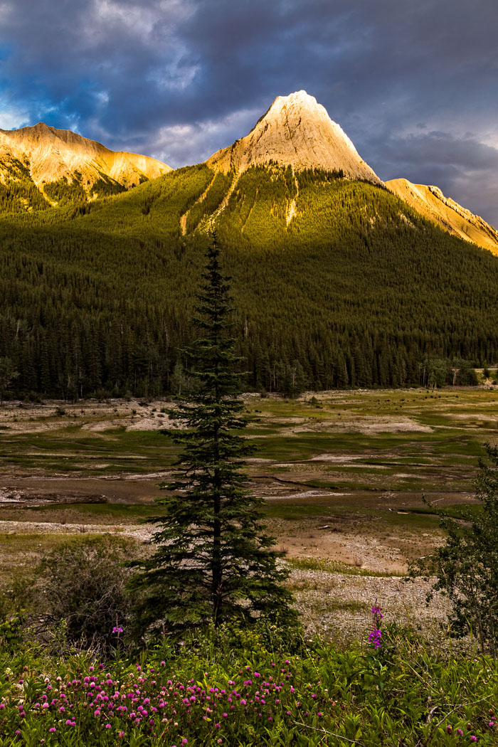 Maligne Lake Area