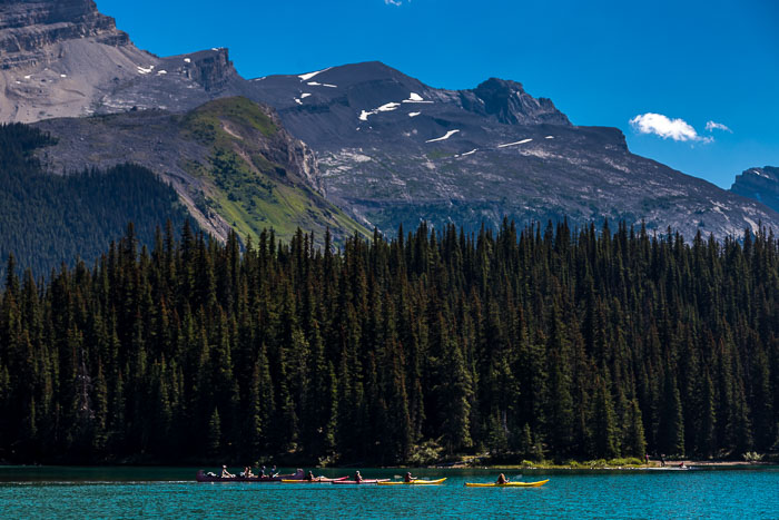 Maligne Lake Area