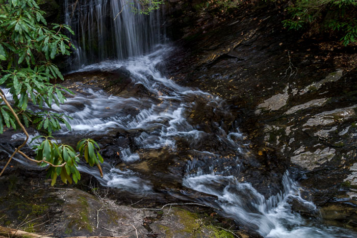 DuPont State Forest