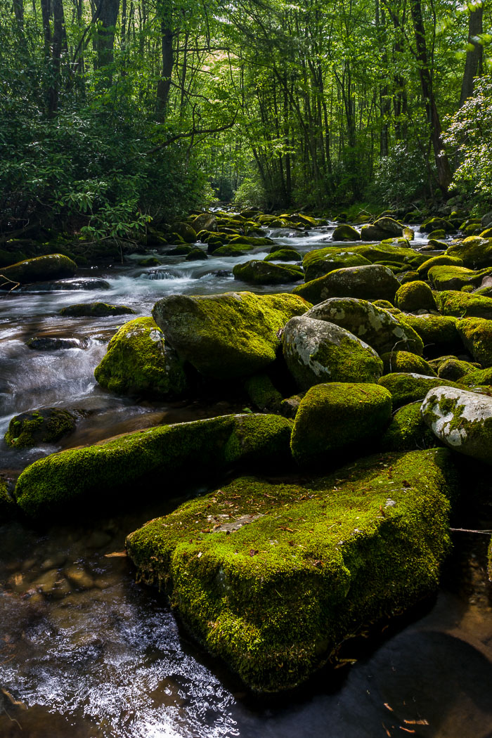 Great Smokey Mountains National Park