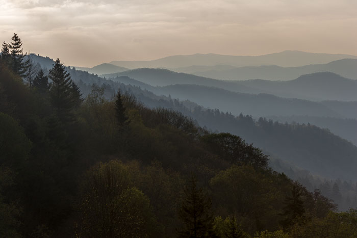 Great Smokey Mountains National Park