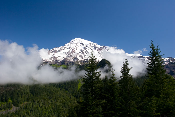 Mt. Rainier National Park