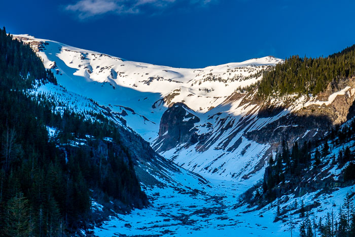 Mt. Rainier National Park