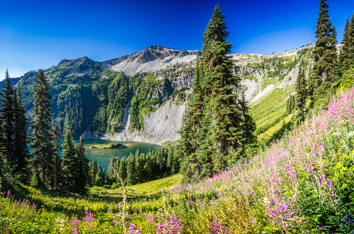 North Cascades National Park Complex