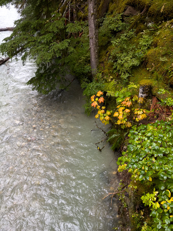 North Cascades National Park Complex