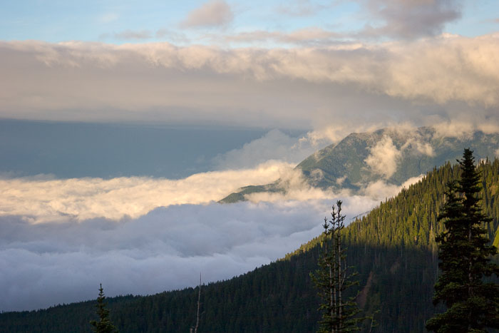 Olympic National Park