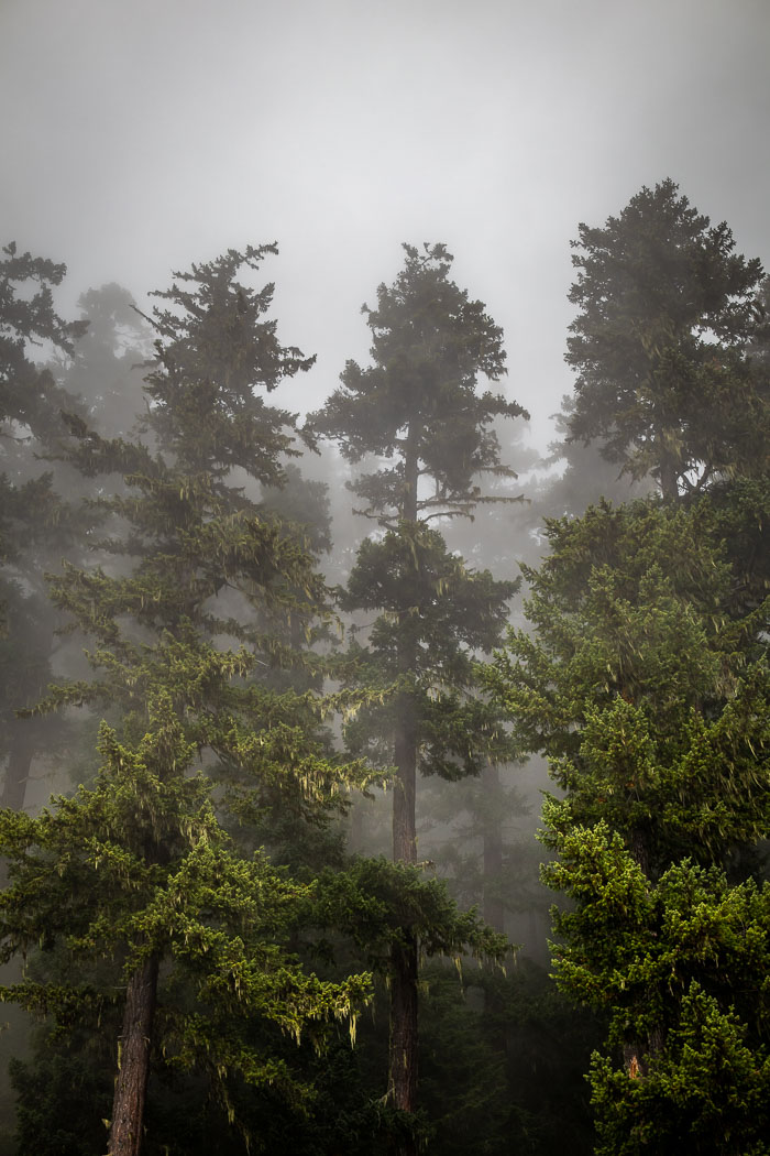 Olympic National Park