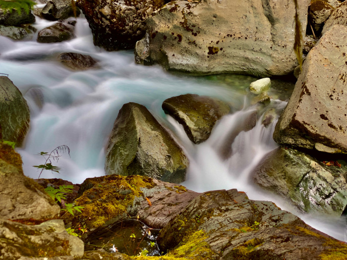 Olympic National Park