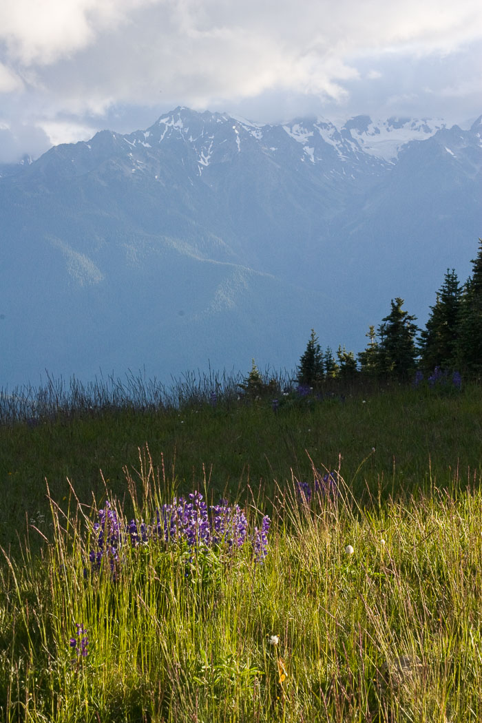 Pacific Region National Parks, Monuments, and Scenic Areas