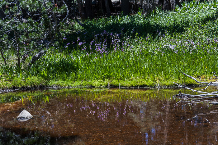 Yosemite Highcountry