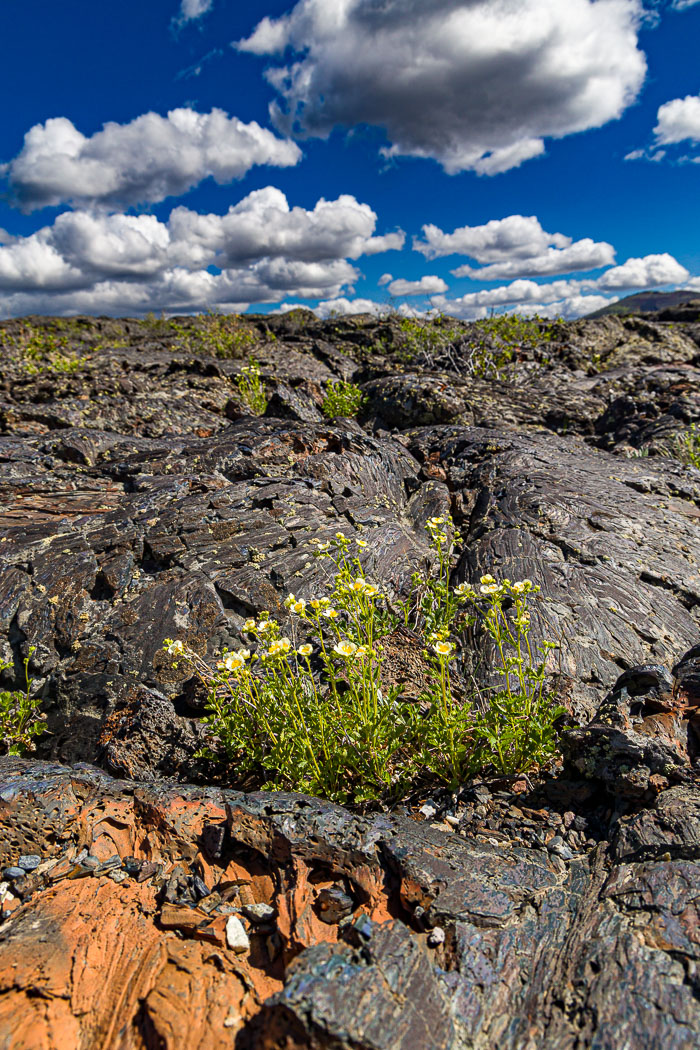 Craters of the Moon National Monument