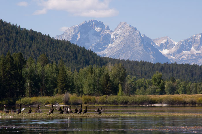 Grand Teton National Park 