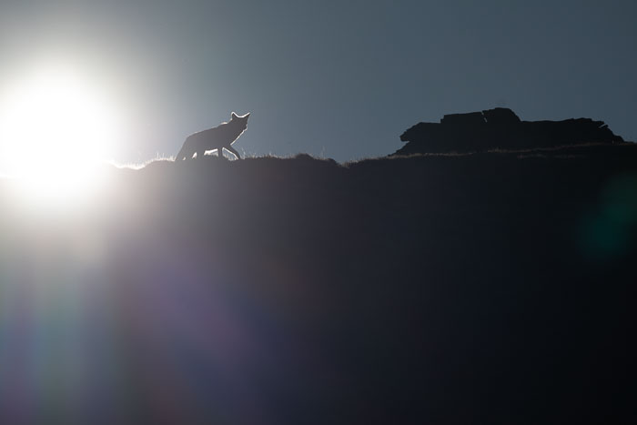 Rocky Mountain National Park