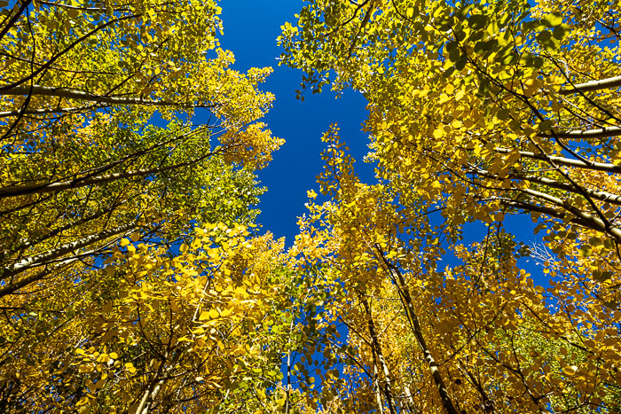 San Juan Mountains