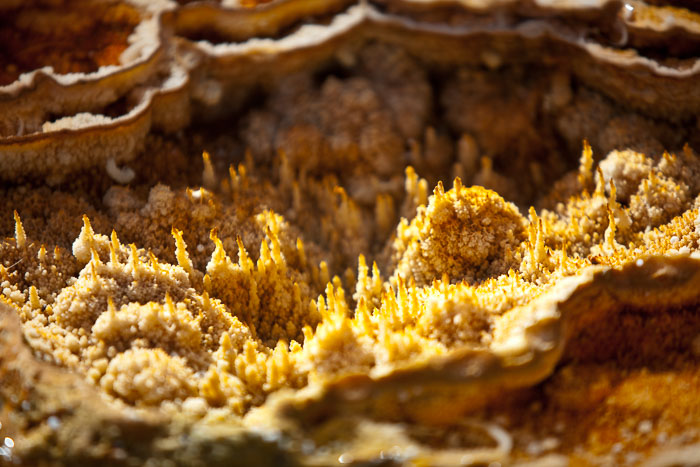 Yellowstone National Park