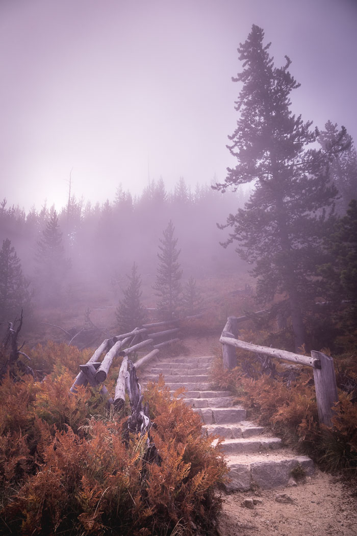 Yellowstone National Park