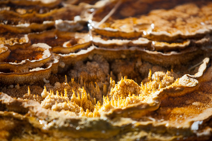 Yellowstone Hydrothermal Features