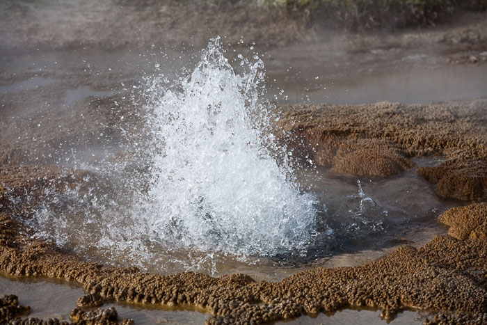 Yellowstone Hydrothermal Features