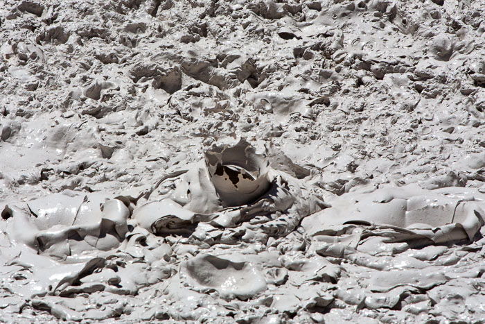 Yellowstone Mudpots Yellowstone Mudpots
