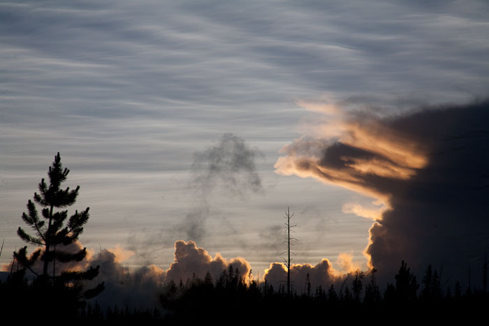 Yellowstone Scenics