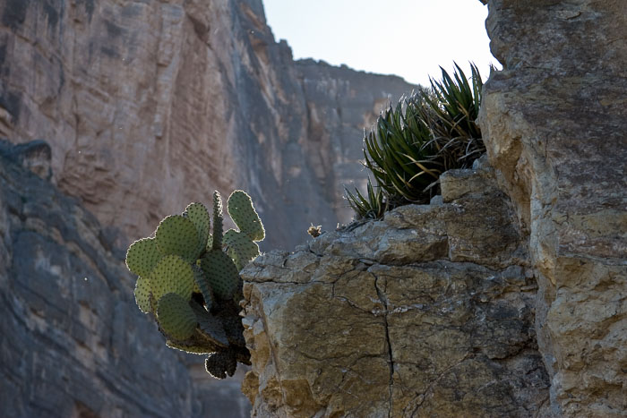 Big Bend National Park