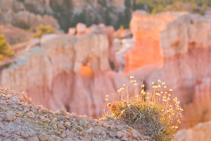 Bryce Canyon National Park
