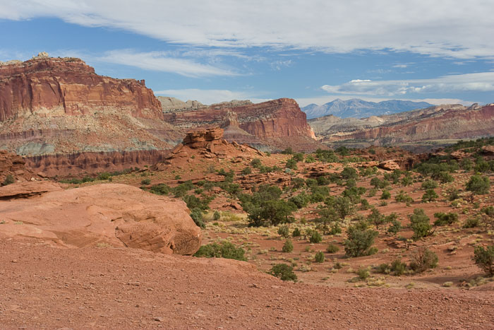 Capitol Reef National Park