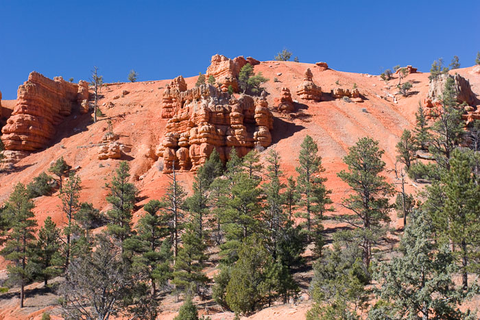 Capitol Reef National Park