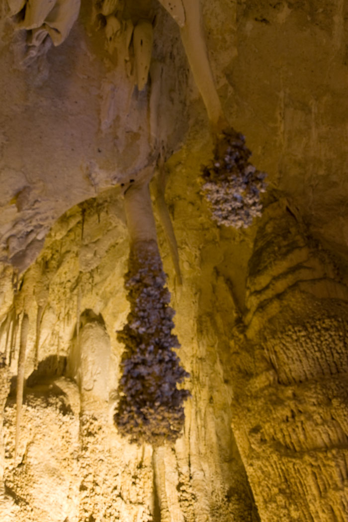 Carlsbad Caverns National Park