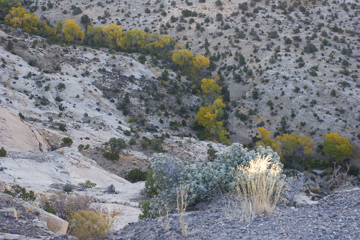 Escalante-Grand Staircase National Monument