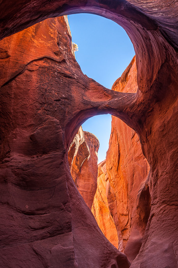 Escalante-Grand Staircase National Monument
