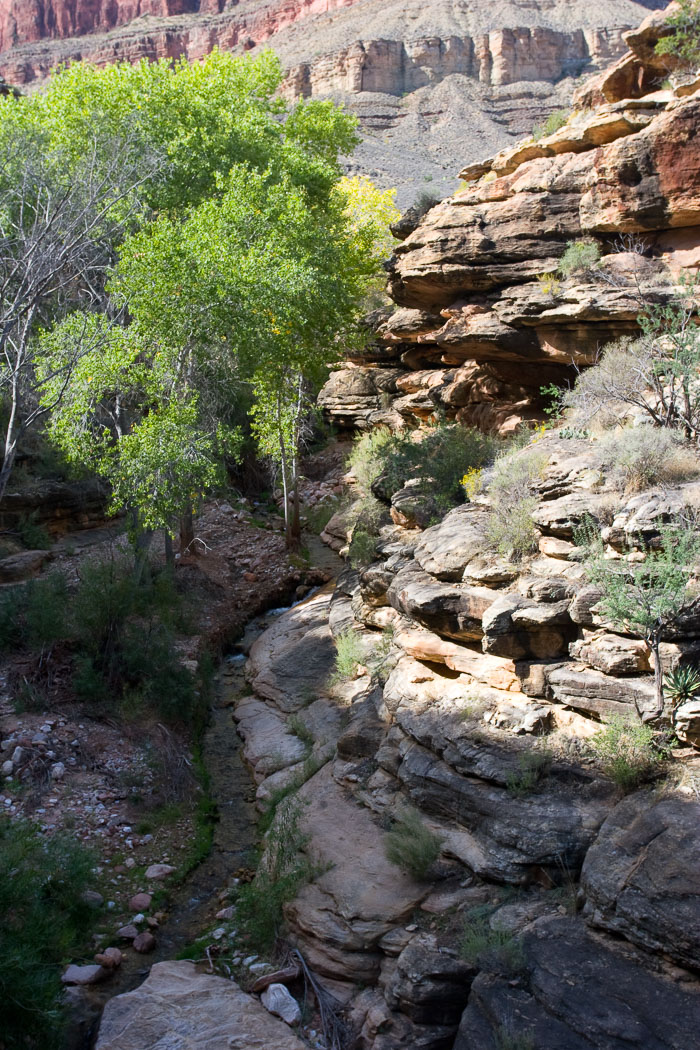 Grand Canyon National Park