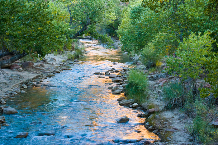 Zion National Park