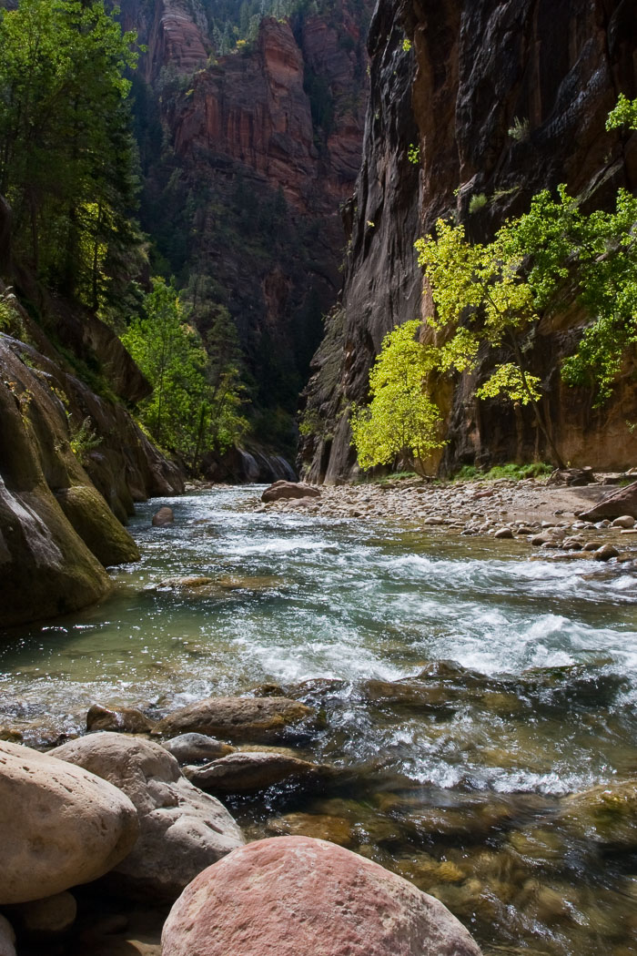 Zion National Park