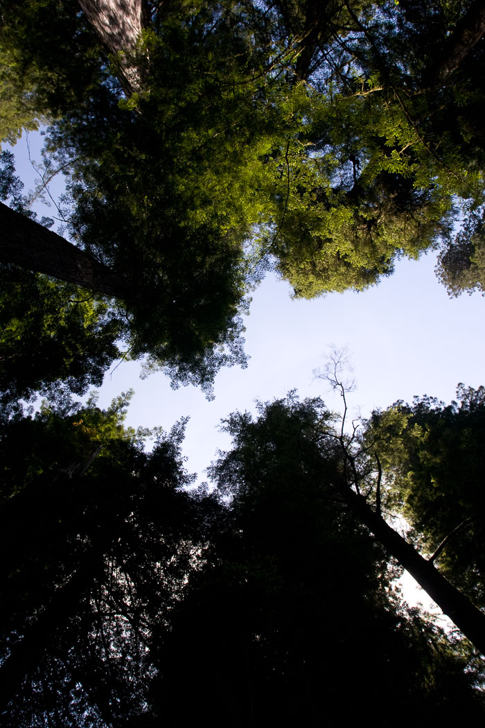 National Parks, Monuments, and Forests