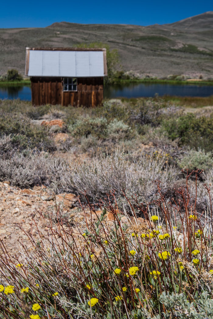Bodie Ghost Town (color)