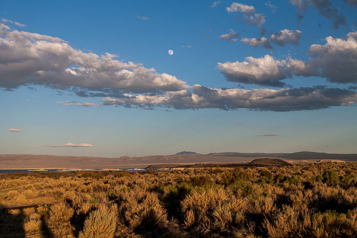 Mono Lake Area