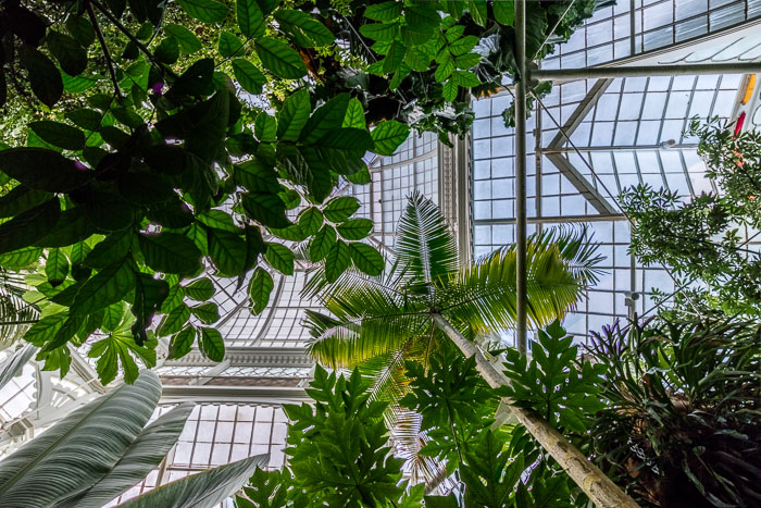 Conservatory of flowers