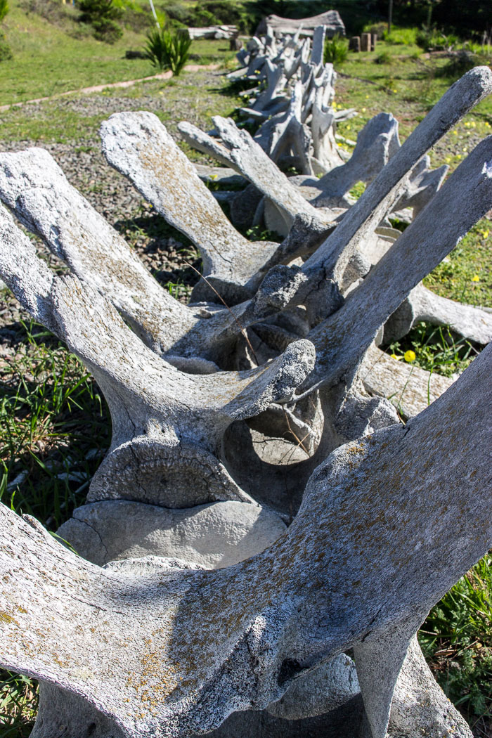 Marin Headlands - Golden Gate National Recreation Area
